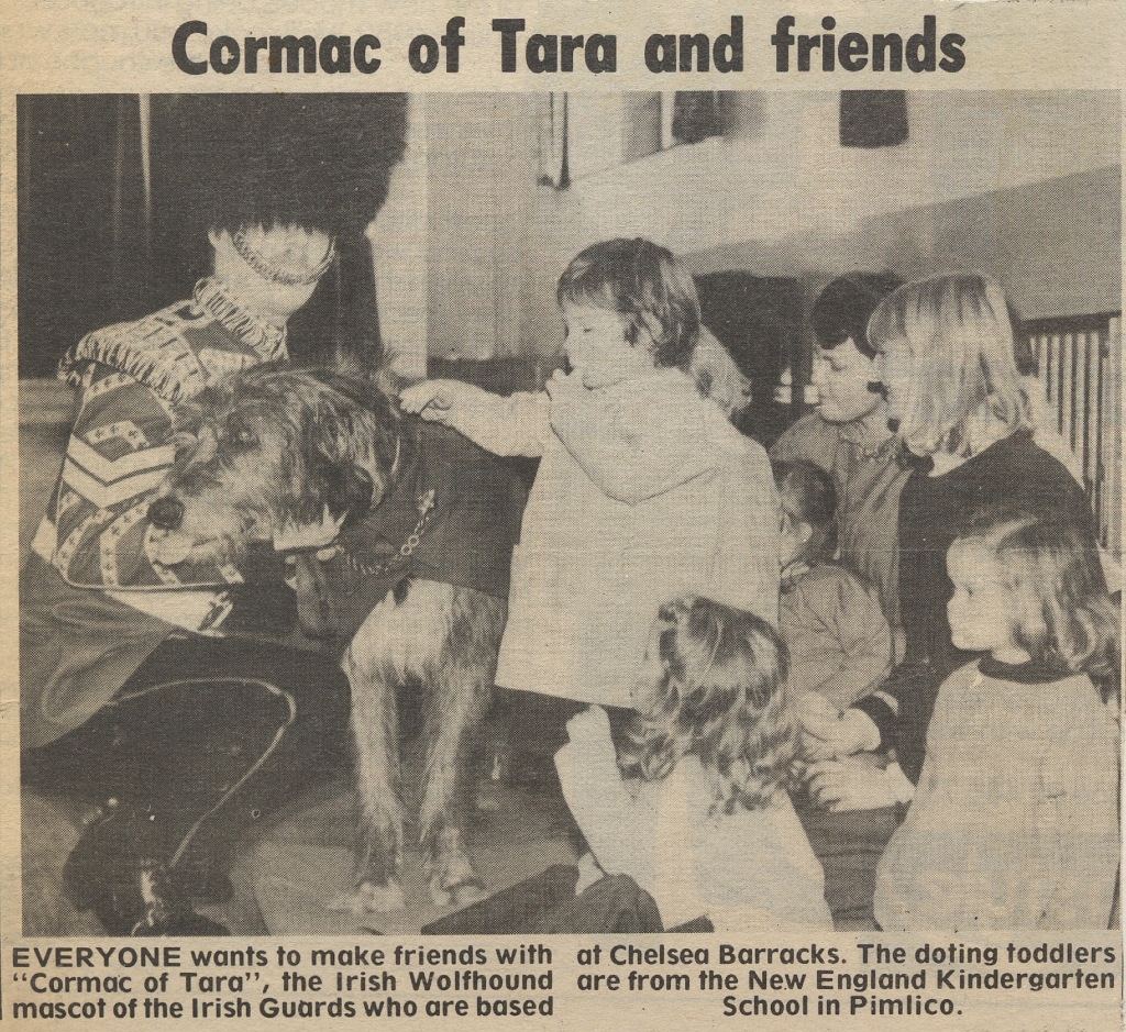 19820205 IRISH GUARDS CORMAC OF TARA CN.jpg